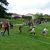 Les mini olympiades