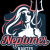 Les Neptunes - Equipe Hanball pro féminine