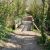 passerelle en travaux dunes sauvages