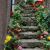Escaliers fleuris