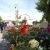 Foire aux fleurs 2014 Montvendre Drôme Raye
