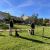 44ème Foire aux arbres Montvendre 2022