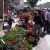 FOIRE AUX FLEURS 2011 MONTVENDRE DROME