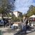 44ème Foire aux arbres Montvendre 2022