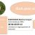 Babydrome oeufs Montvendre