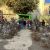44ème Foire aux arbres Montvendre 2022
