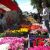 Foire aux fleurs 2014 Montvendre Drôme Raye