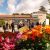Foire aux fleurs 2014 Montvendre Drôme Raye