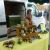 Foire aux arbres 2010