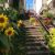 escalier fleuri